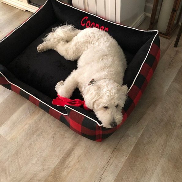 Cooper_Red_Plaid_Bed_1500_1