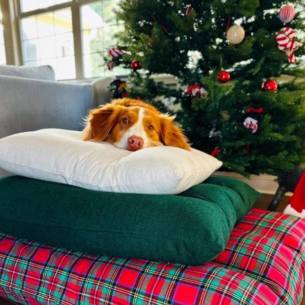 cozy-holiday-flannel-dog-bed